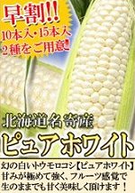北海道産白いトウモロコシ