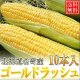 予約受付中！送料無料/北海道産ゴールドラッシュ 10本入/生でも食べられます ８月下旬発送