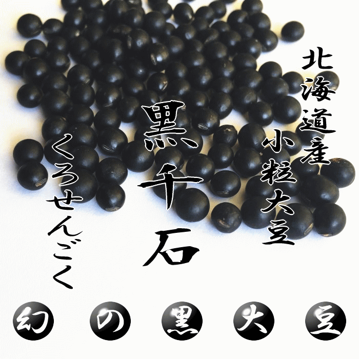 【送料無料】幻の北海道産 黒千石大豆 1kg 北海道北竜