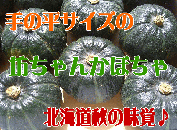 北海道産坊ちゃんかぼちゃ 8^11玉で3.5kg