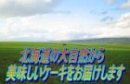 画像: ◇ フ−ドオンラインショップＷＡＶＥ ◇