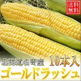 画像: 予約受付中！送料無料/北海道産ゴールドラッシュ 10本入/生でも食べられます ８月下旬発送