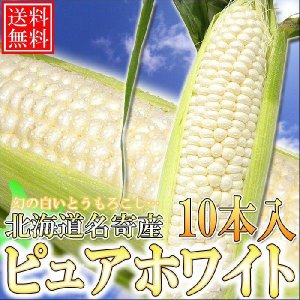 画像: 予約受付中！送料無料/北海道名寄産ピュアホワイト 10本入/生でも食べられます　８月下旬発送