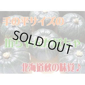 画像: 北海道産坊ちゃんかぼちゃ 8^11玉で3.5kg