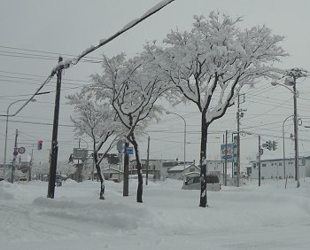 画像: 今朝から大雪です