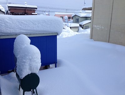 画像: 14日から大雪でした！