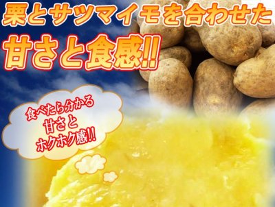 画像: 越冬貯蔵インカのめざめ販売開始!!数量限定です