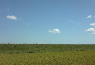 画像: 本日も天気がいいです～♪