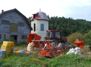 画像: 北海道は秋景色♪