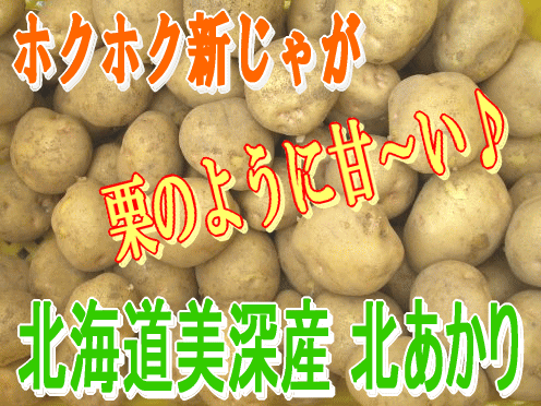 画像: 大好評♪【送料無料】北海道美深産 北あかり5kg