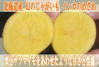 画像: 北海道産 「インカのめざめ」 発送開始しました～♪