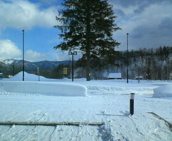 画像: 今年は雪が少ないです！