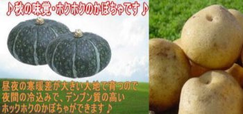 画像: 北海道 びふか産 くりじゃが＆えびすカボチャ特価！