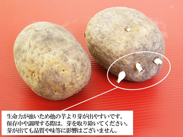 画像: 【送料無料】北海道産越冬幻のじゃがいも 『インカのめざめ』 5kg