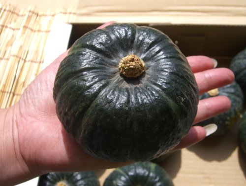 画像: 北海道産坊ちゃんかぼちゃ 8^11玉で3.5kg