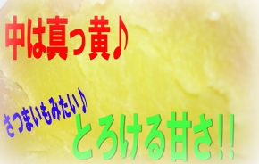 画像: 北海道産 レッドアンデス「赤いじゃがいも」 5kg